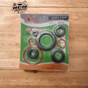 CG-Oil seal kit